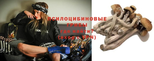 стафф Белокуриха