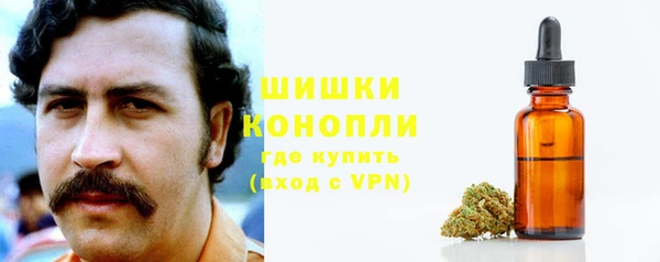 PSILOCYBIN Богородск
