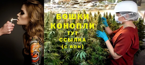 ПСИЛОЦИБИНОВЫЕ ГРИБЫ Богородицк