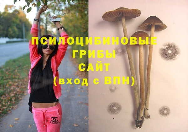 PSILOCYBIN Богородск