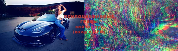 ПСИЛОЦИБИНОВЫЕ ГРИБЫ Богородицк