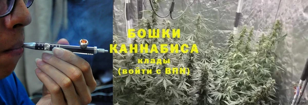 PSILOCYBIN Богородск