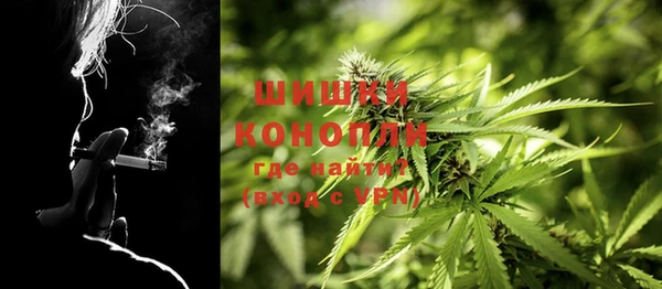 PSILOCYBIN Богородск