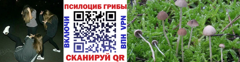 Псилоцибиновые грибы Psilocybine cubensis  маркетплейс наркотические препараты  Бобров 